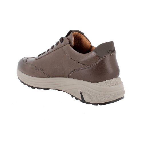 IGI&CO  Sneaker CAFFE'
