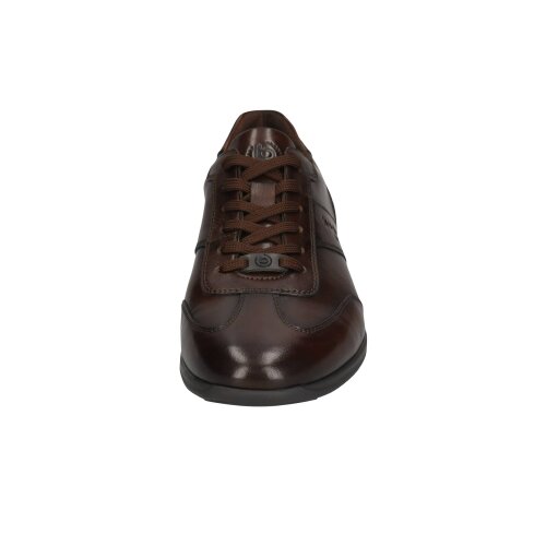 bugatti Thorello brown