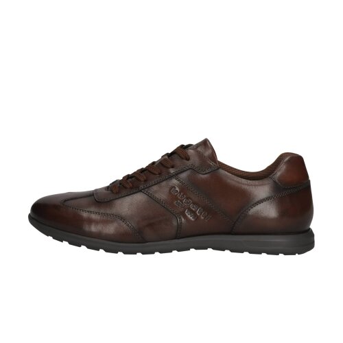 bugatti Thorello brown